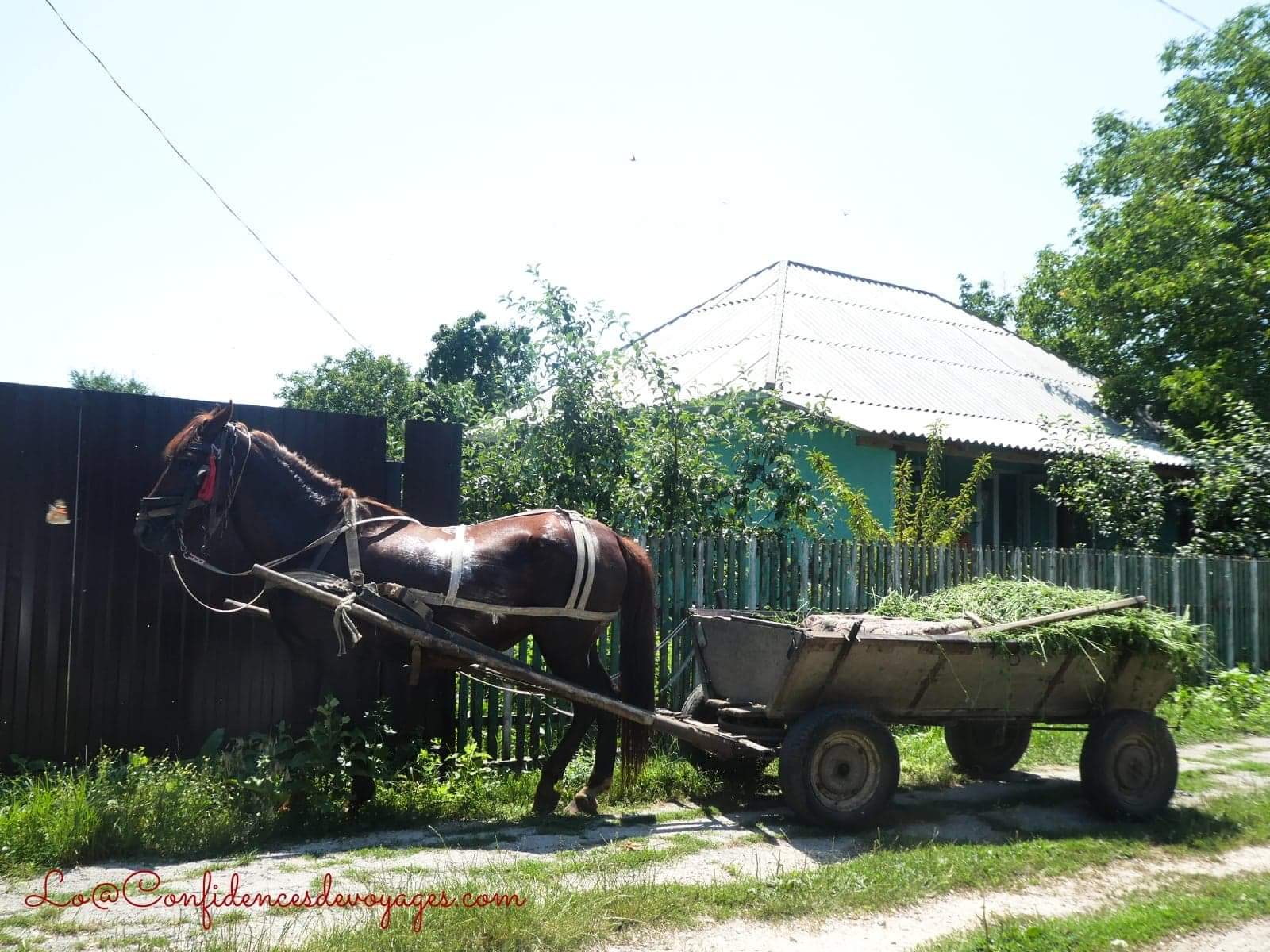 Moldavie : Visiter le Nord du pays
