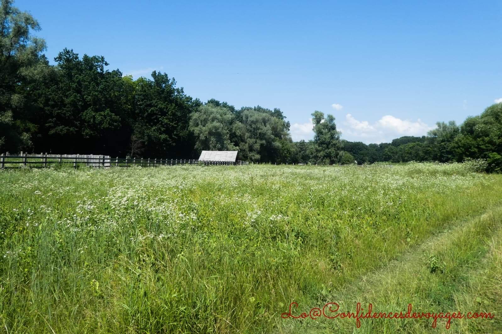 Moldavie : Visiter le Nord du pays