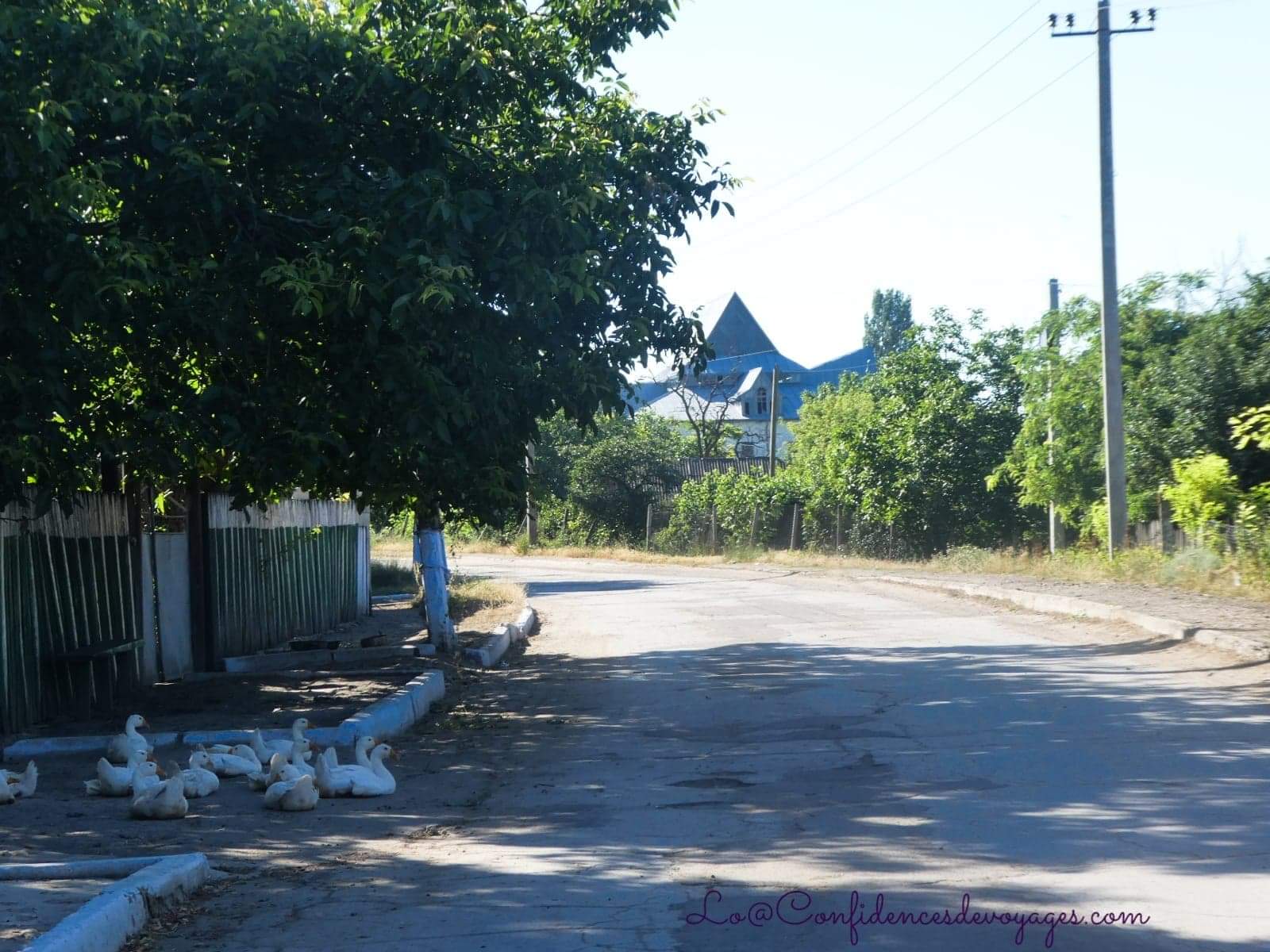 Moldavie : Visiter le Nord du pays