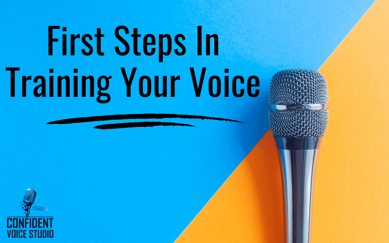 First Steps In Training Your Voice