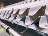 Protect Your Home Gutter Guards Benefits Tips