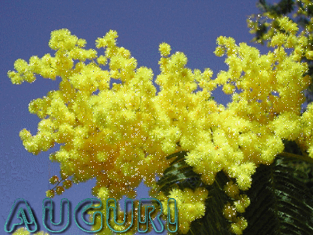 Gratis Scarica immagini Https Encrypted Tbn0 Gstatic Com Images Q Tbn 3aand9gcs4fng8uprbfoisy1pf0hionfghcbnf51ksiicby Vdck6 Ztp1 aggiornato da parte di