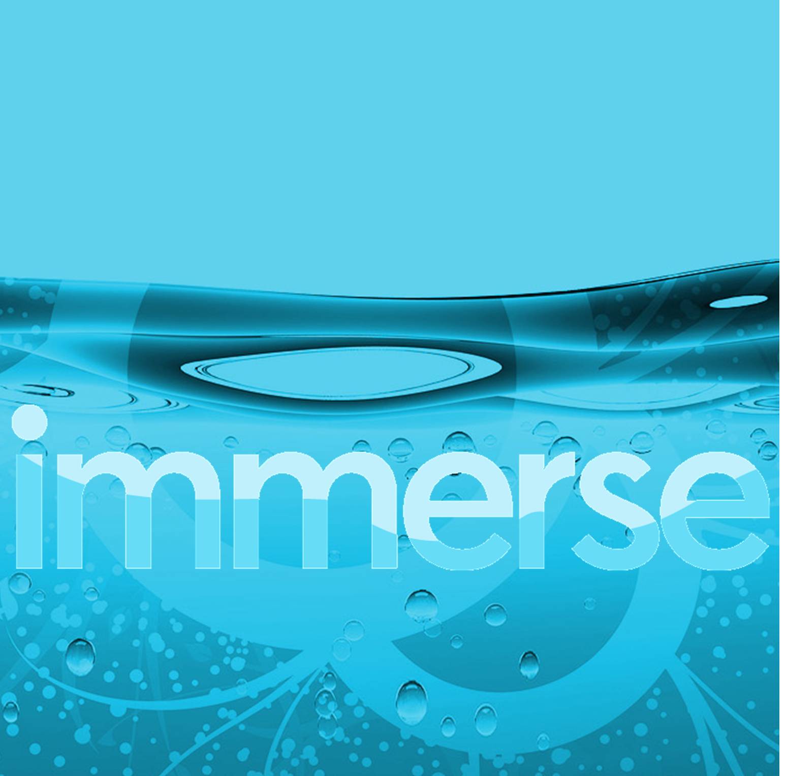 Immerse logo