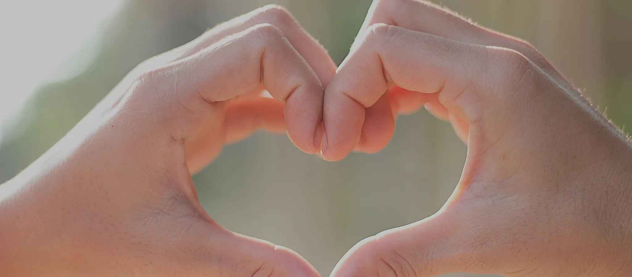 Palliative care northern ireland