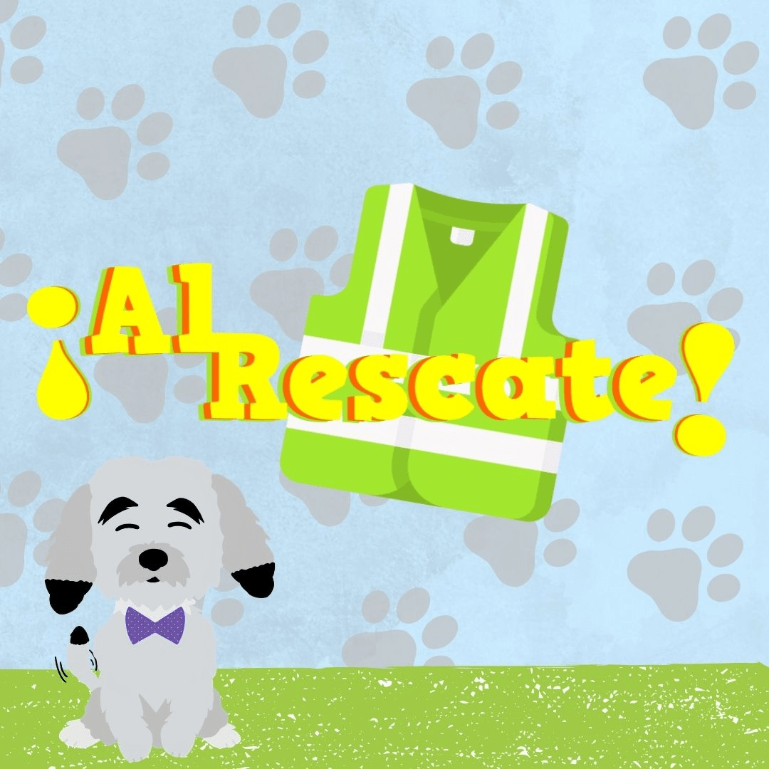 Colección de cuentos infantiles sobre el rescate de animales