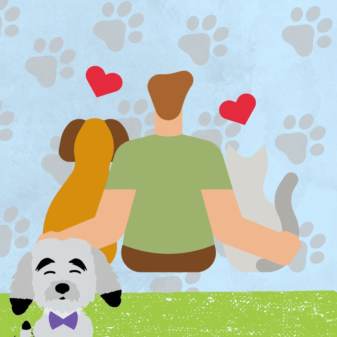 Empatía y responsabilidad para con los animales