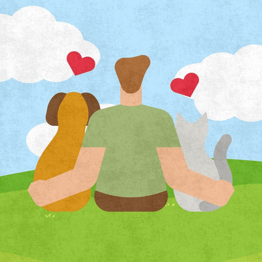 Cuento que educa sobre adopción responsable