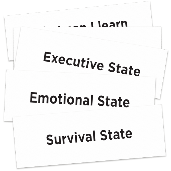 Resource: game: brain state model: pieces