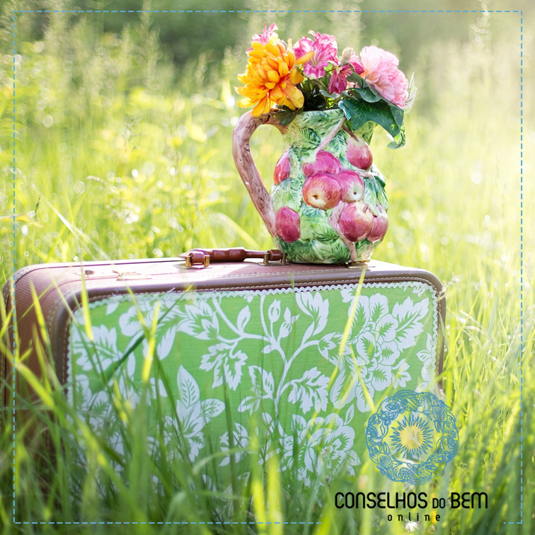 OS 3 MANDAMENTOS DA FELICIDADE