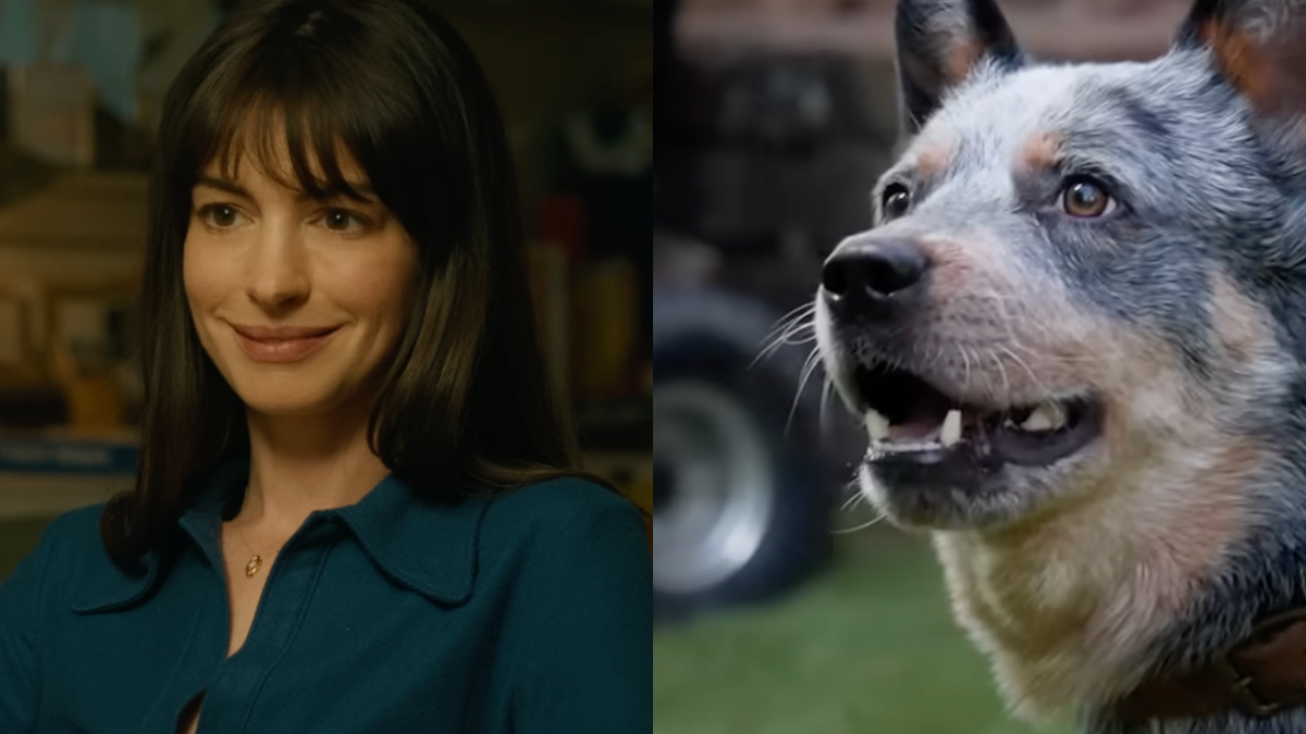Anne Hathaway: Movies With Dog Deaths Should Be R-Rated! 🎬 Shocking Take! (2026)