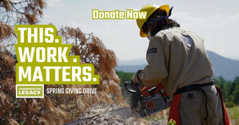 Homepage Conservation Legacy - Premium City Image Gallery - Retina