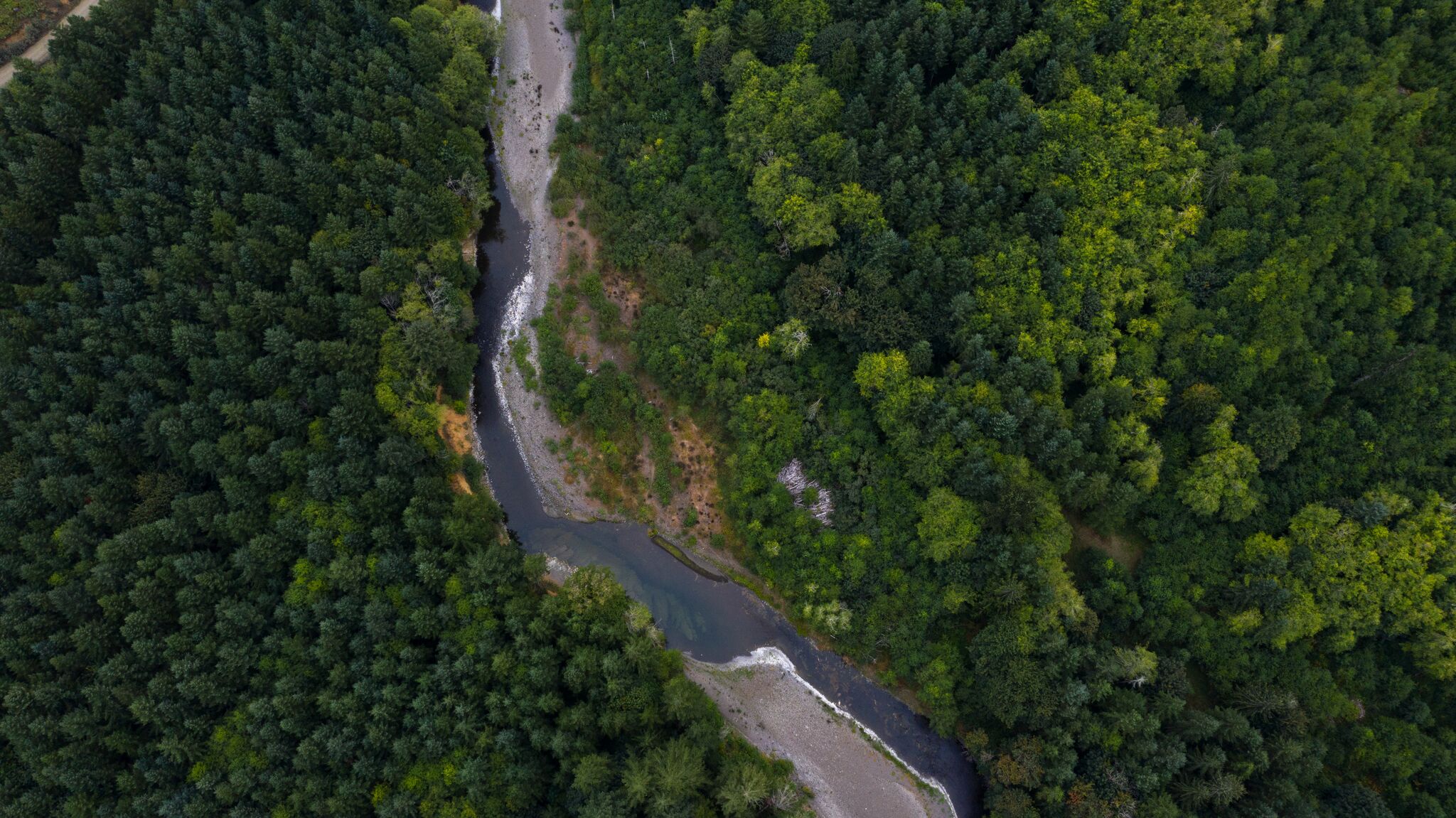 Xerson fohishalari dam olish