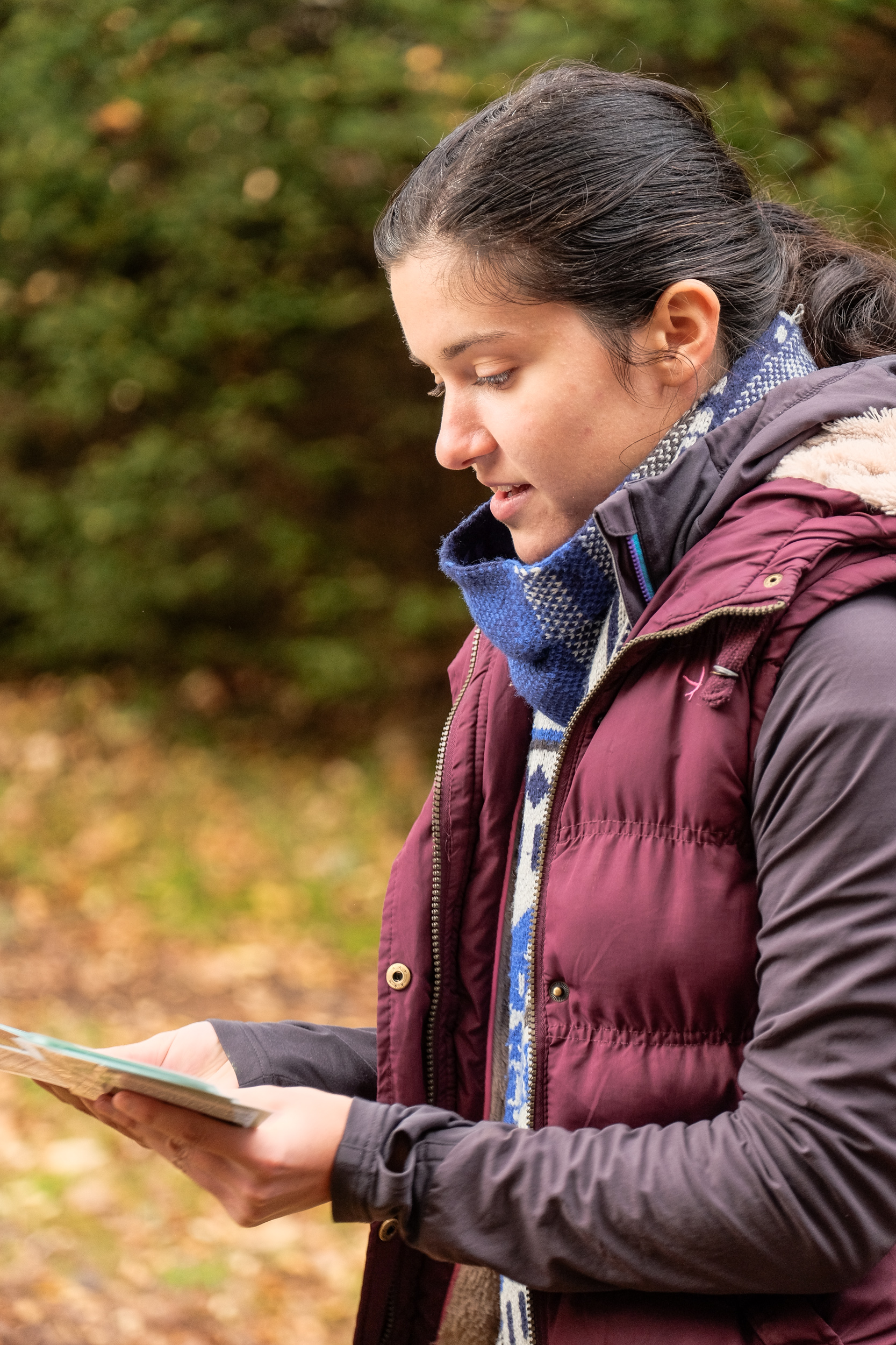 Handing out cards for the game - each student got to be a species!
