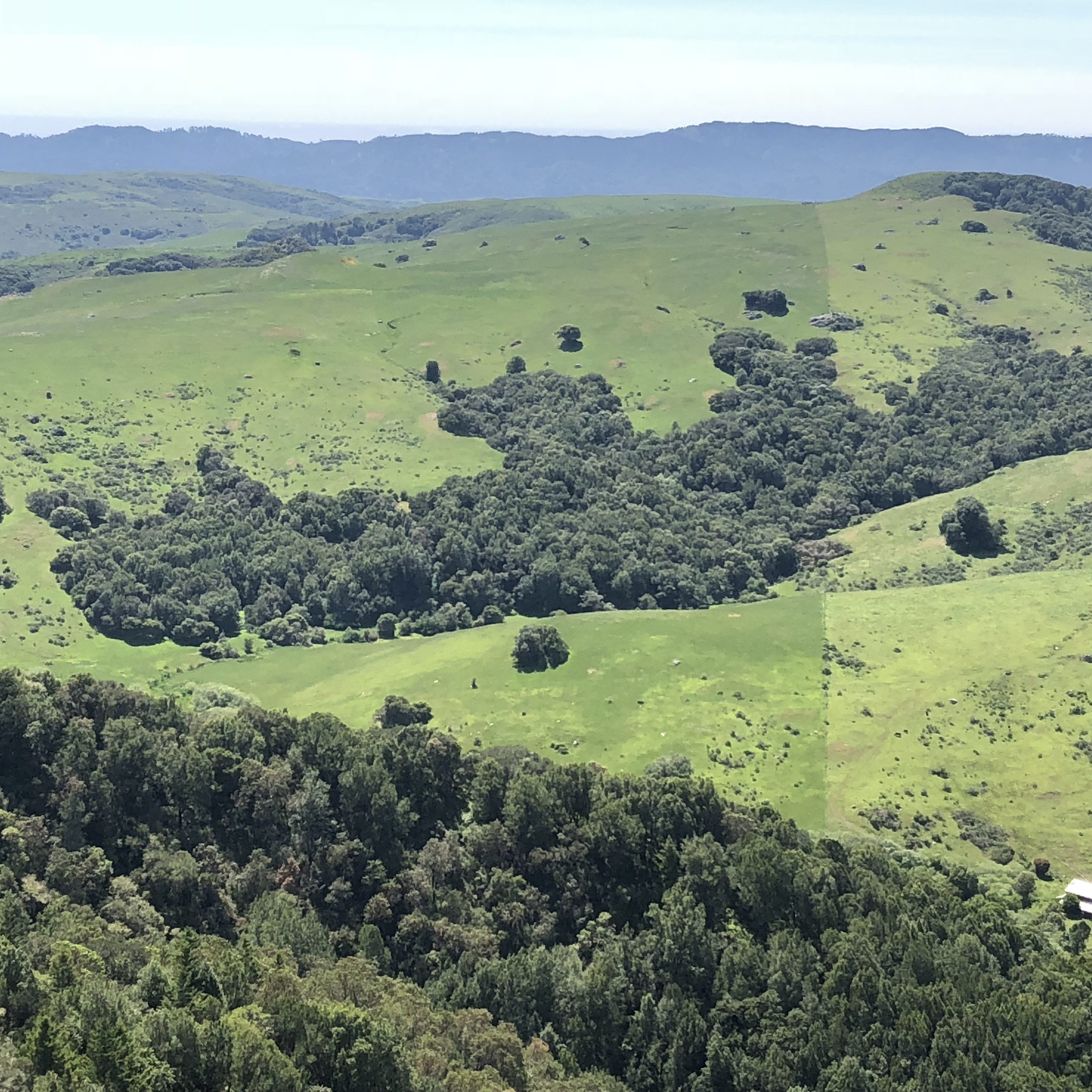 Aerial view of a forested and grassland landscape managed for conservation