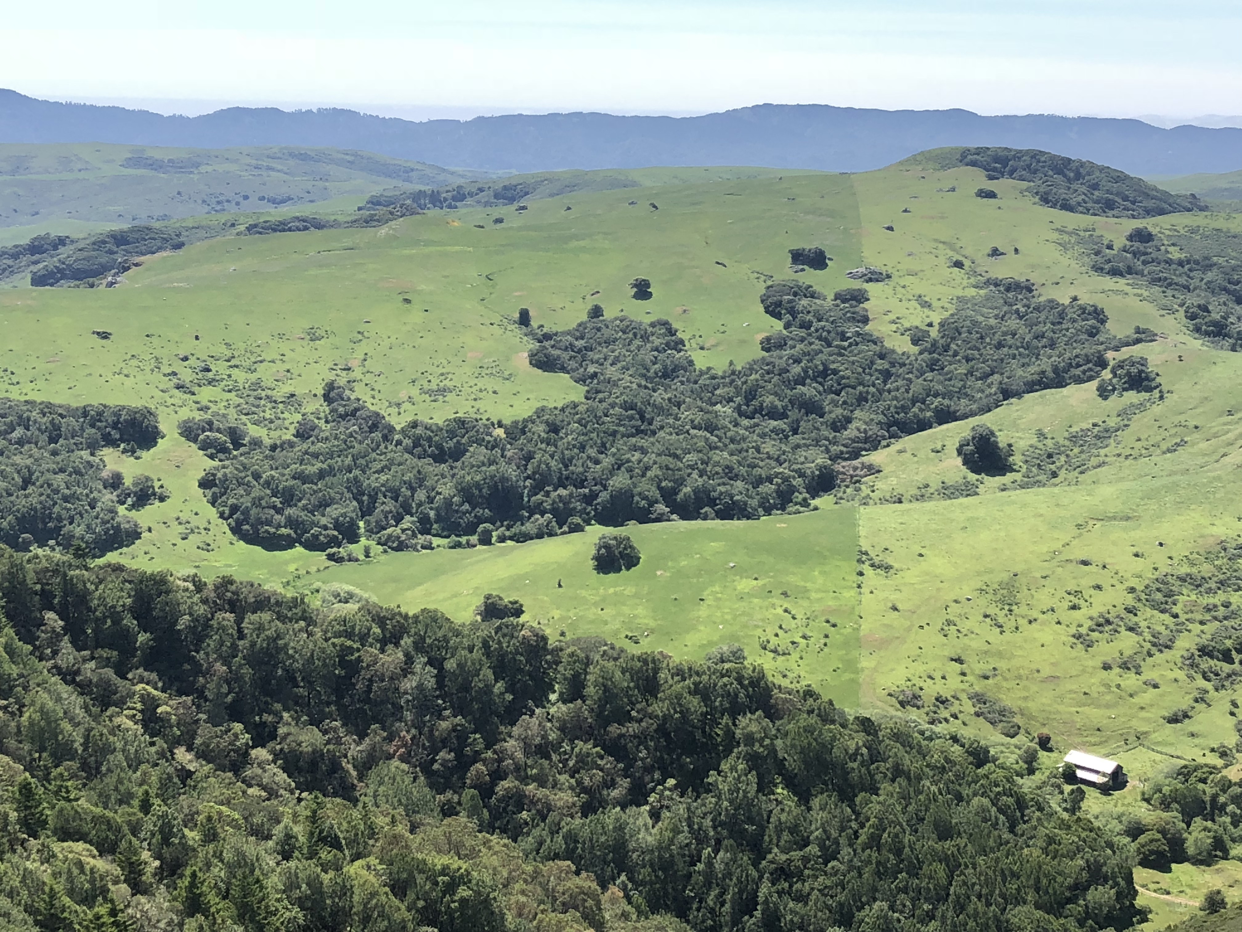 View to the west from the top of Hicks Mountain, showing a visible contrast in grassland greenness across a fenceline during a drought year