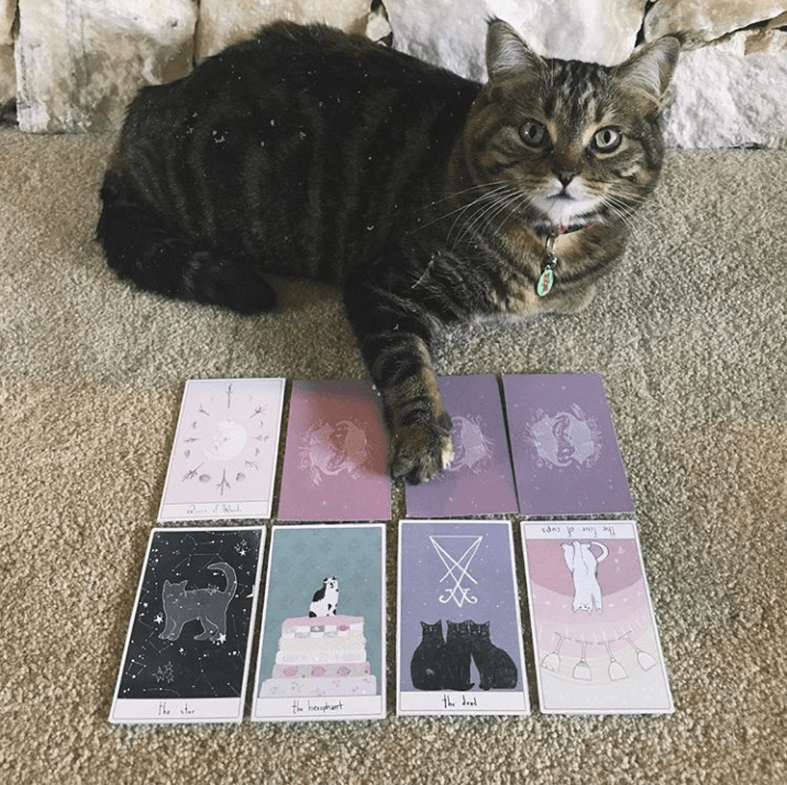 Considerate Cat Tarot Deck + Guide Considerate Cat Tarot