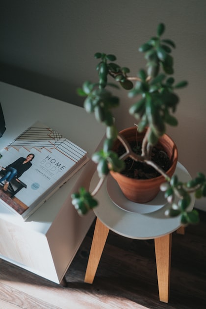 Energy-Efficient Home Improvement Ideas