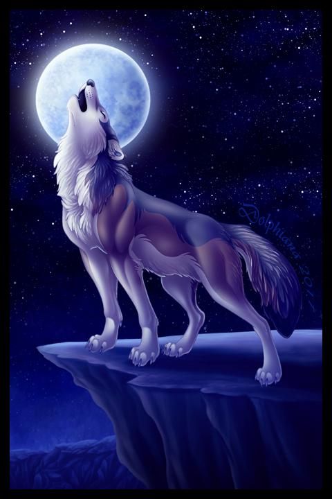 Howling at the Moon