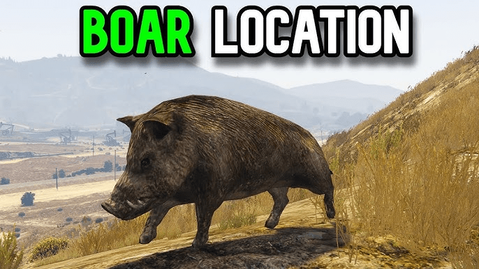 GTA Online How To Locate And Photograph Cats For The Wildlife Image 6 
