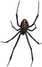 black_widow_3 Black Widow