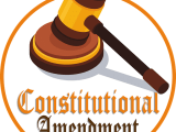 Article 5 Of The Constitution Summary