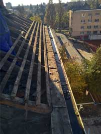 Project image