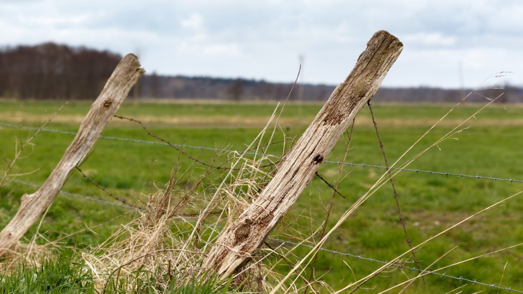 Installing postmaster fence posts