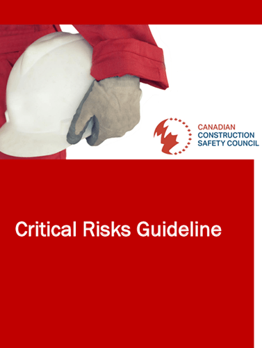 Critical Risks Guideline