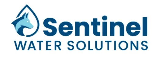 Sentinel.webp