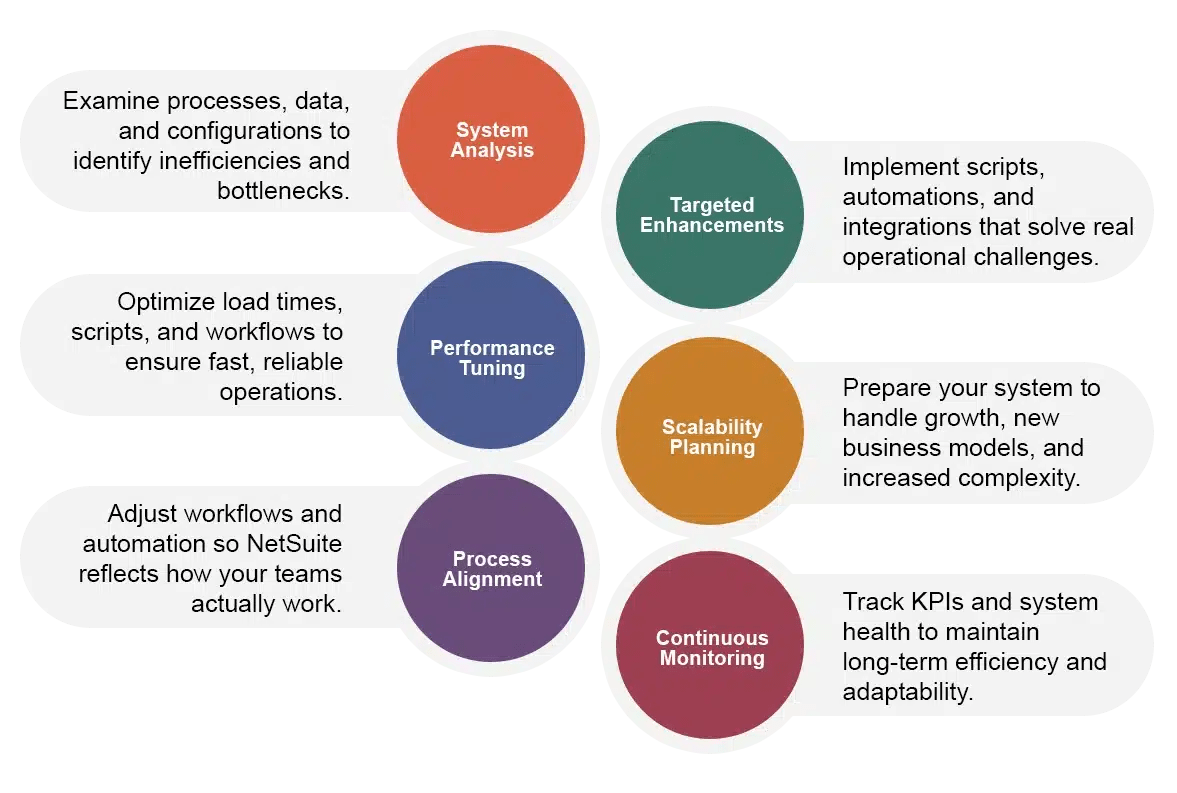 Infographic NetSuiteOptimization