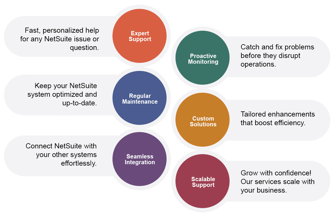 Infographic NetSuiteSupport