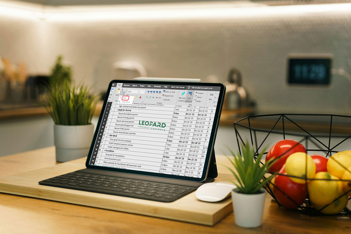 Link MS Project File with Excel File
