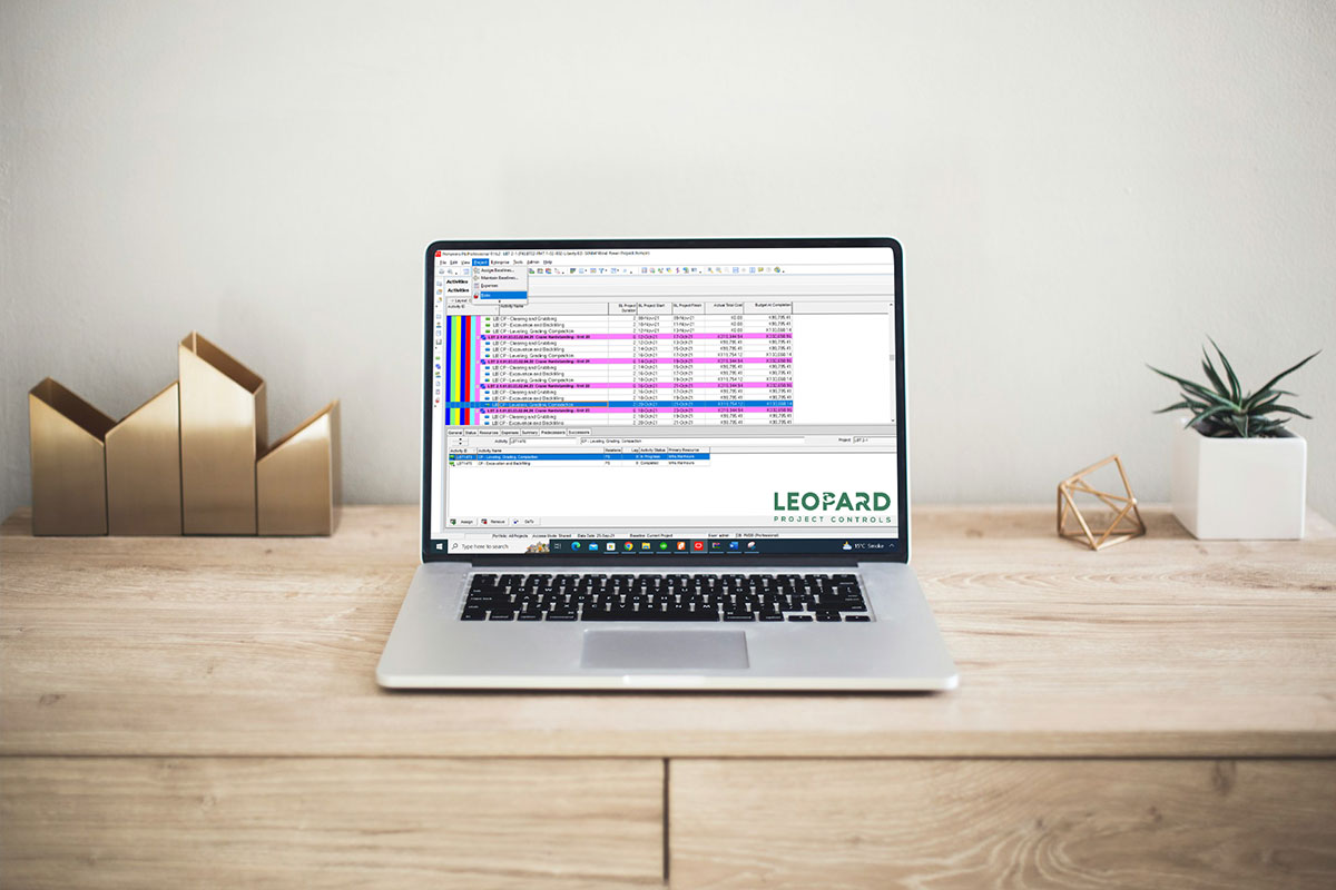 Adding Risks in Primavera P6