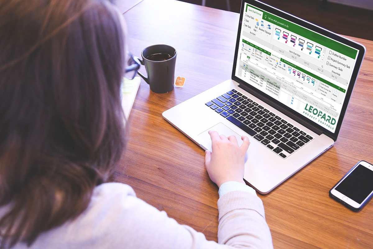 Setting Up Project Budget Cost In MS Project