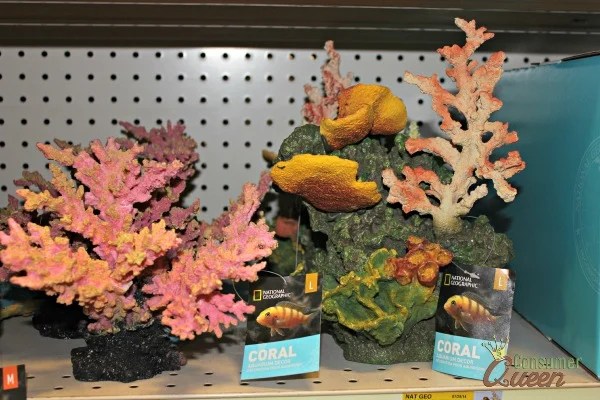 Nano Tank Unboxing National Geographic Design 2 5 Gallon There are other child friendly attractions in the same venue with hands on contact with a variety of small animals-rays fish etcParking is a problem-best to take public transit or a taxi.