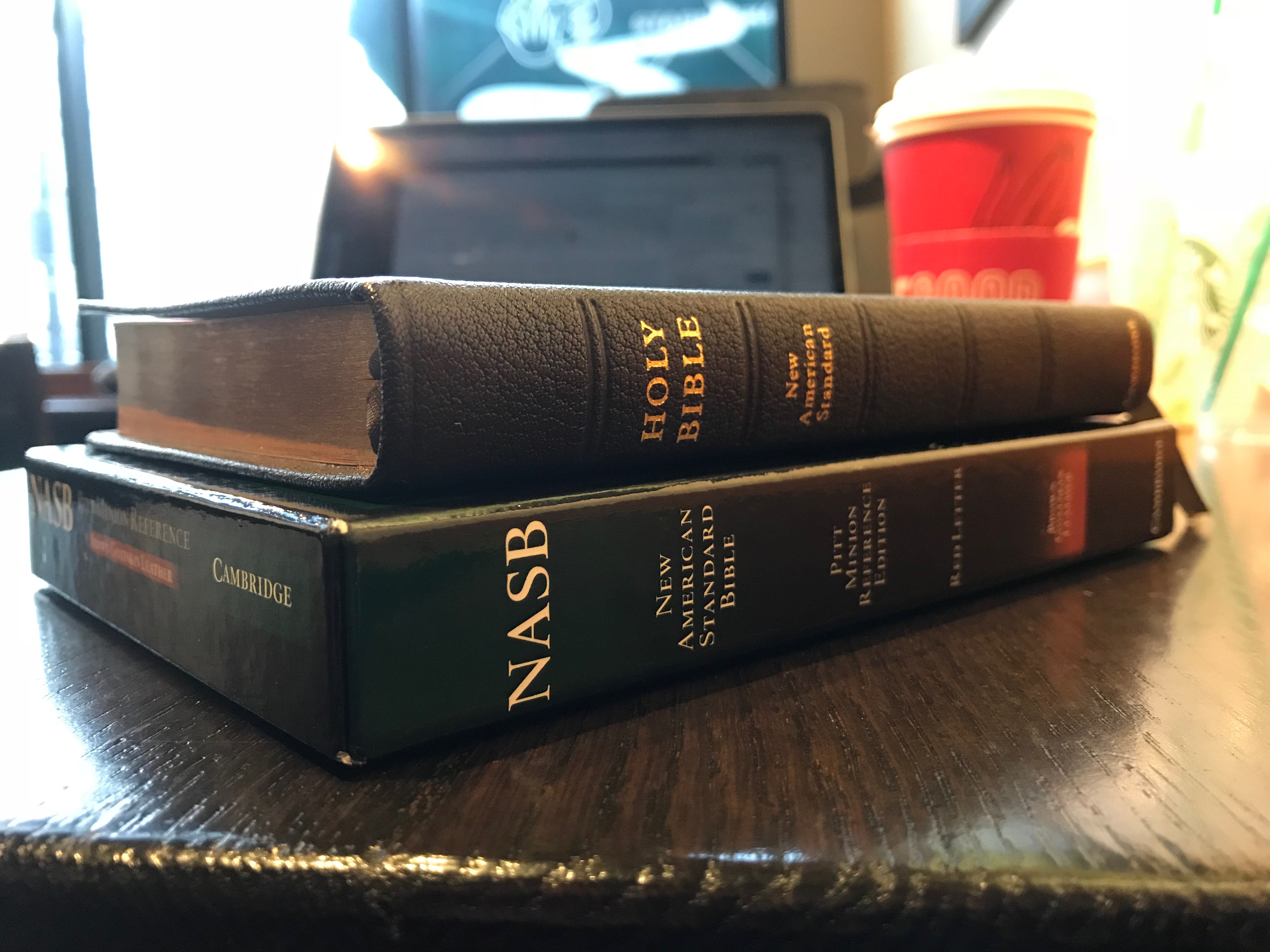 Book Review: Cambridge Pitt Minion NASB (Brown Goatskin) – The