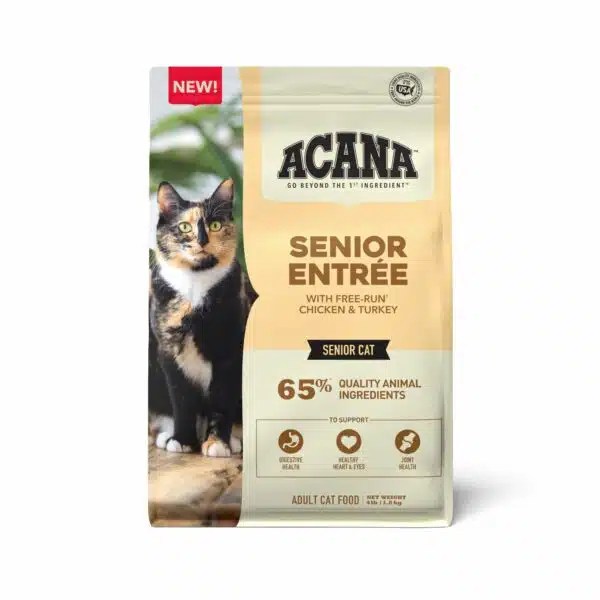 Best cat food for senior cats: top picks for optimal health