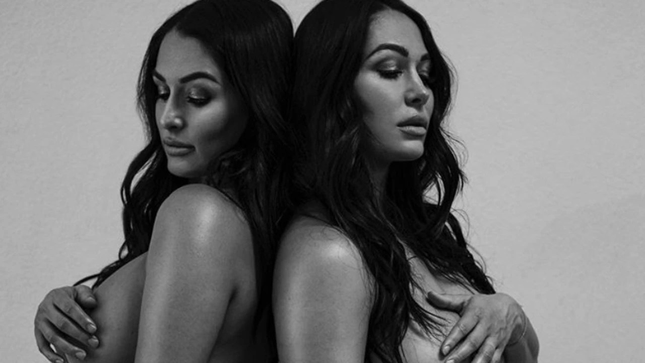 WWE stars Nikki and Brie Bella post Instagram nude preg ancy photos | news.com.au — Australias leading news site