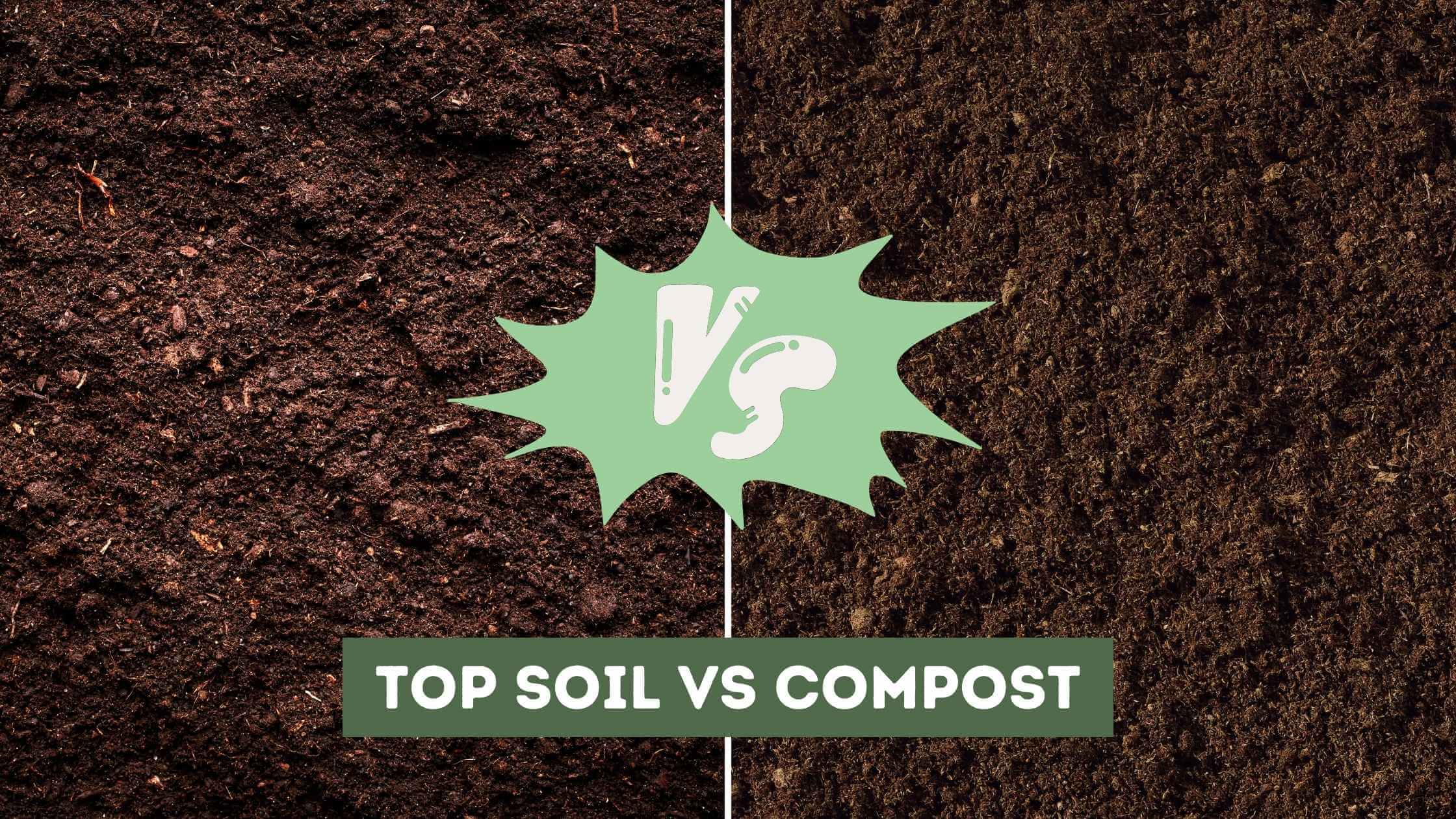 Top Soil Vs Compost Differences Explained