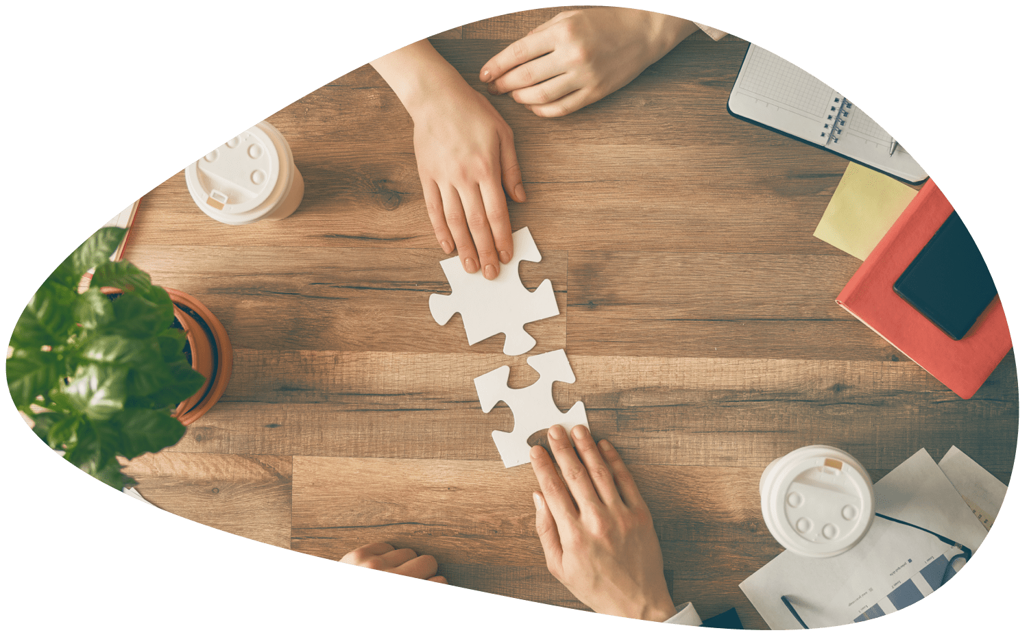 Retail Execution Partner