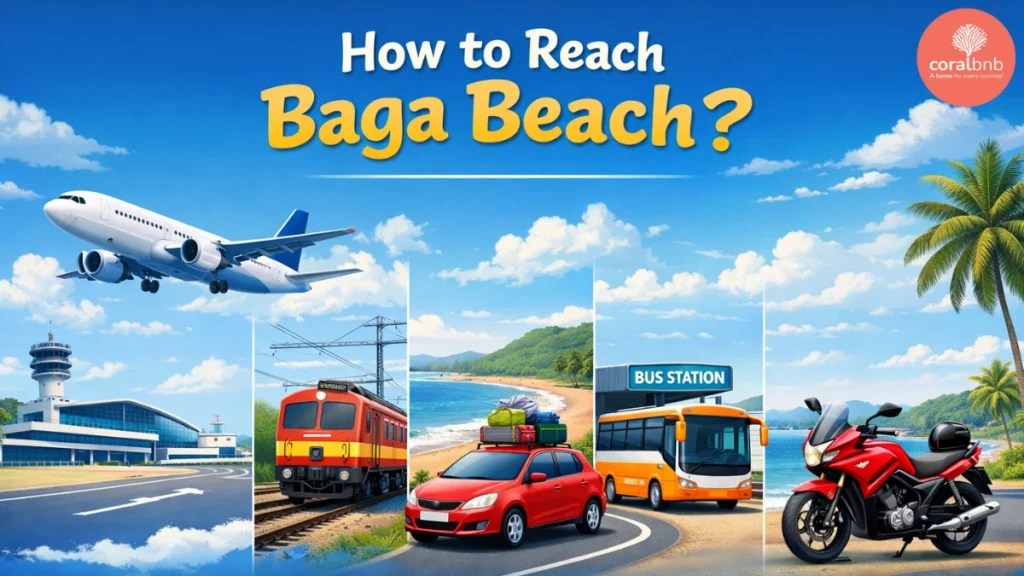 Baga Beach Goa Things To Do Best Time Food Travel Tips How To Reach Baga Beach