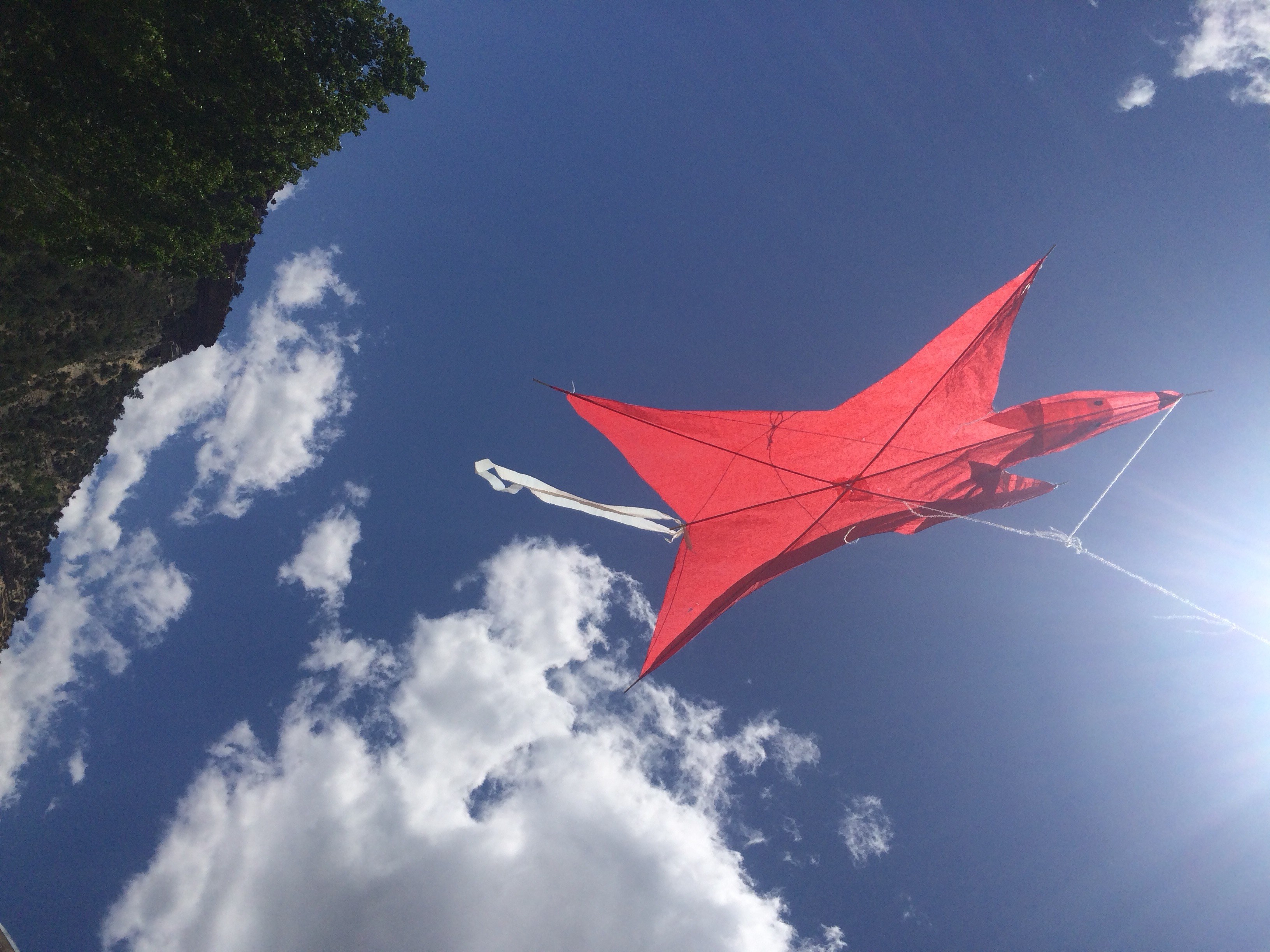 Edo Fox Kite 9 Steps Instructables - Perfect Abstract Texture - 8K