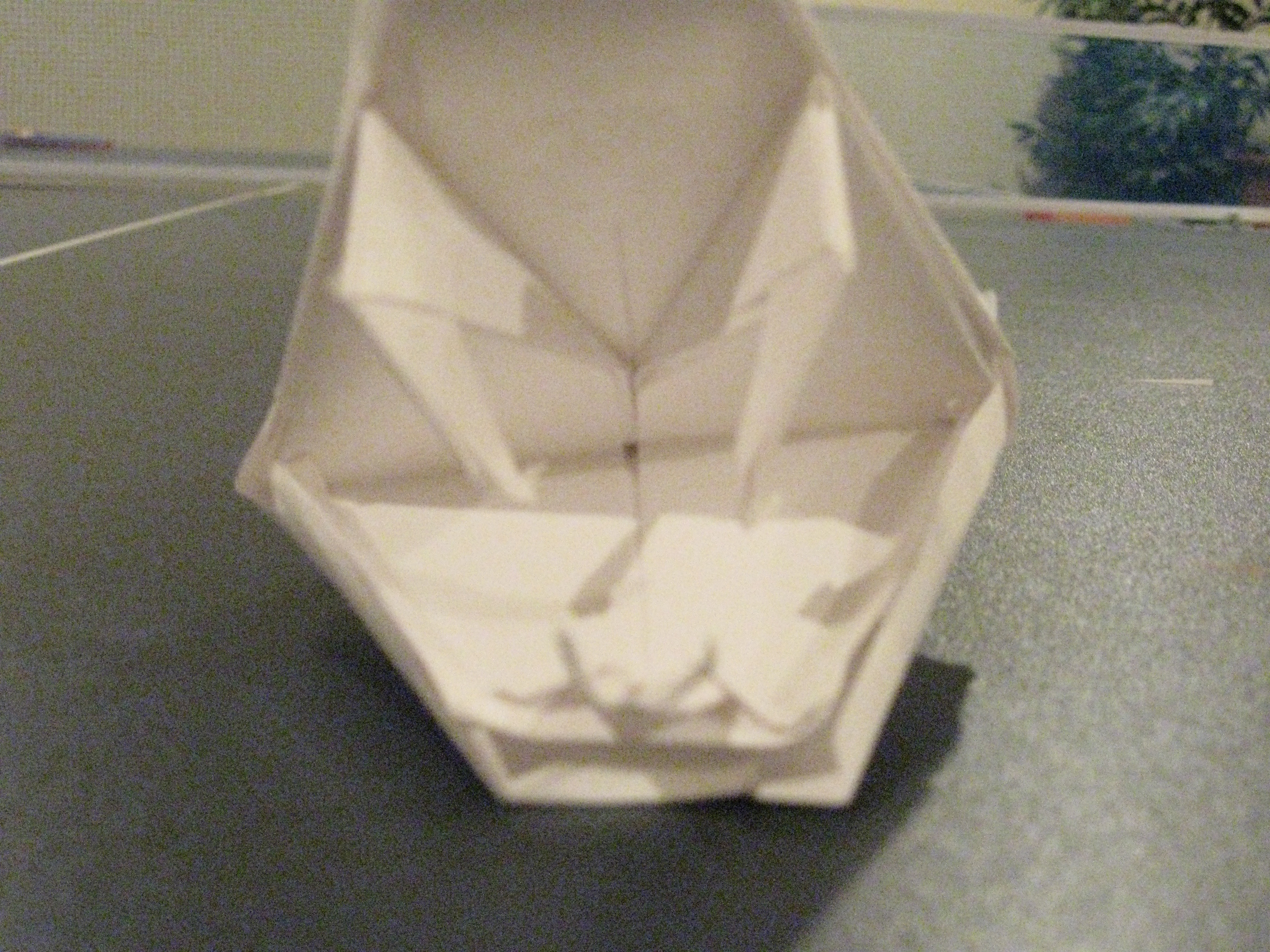 Snake Head Patterns Gifyu - Ocean Photos - Modern HD Collection