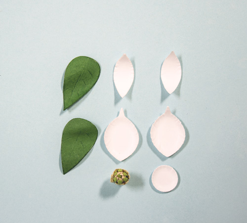 Paper Magnolia Flower 4 Steps Instructables - Abstract Photo Collection - High Resolution Quality