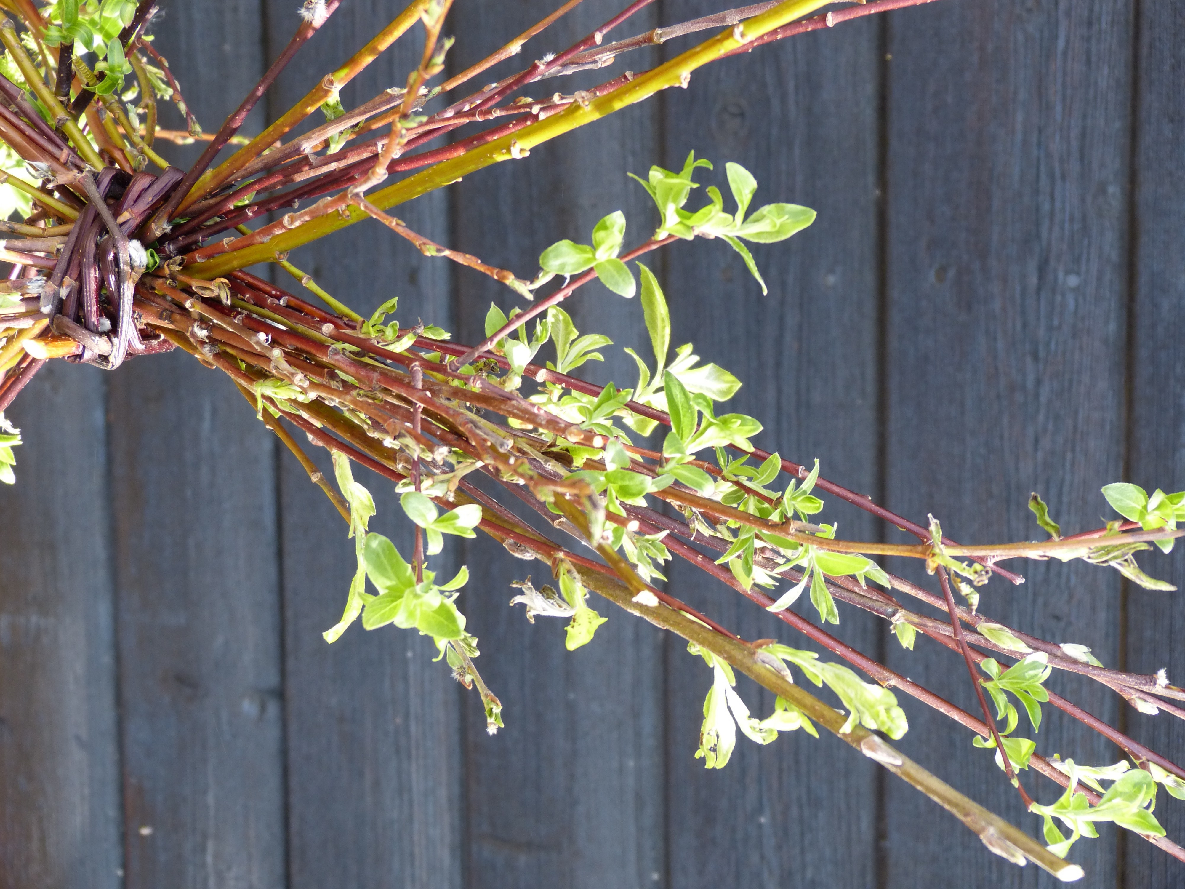 The Willow Project The Columns - Best Sunset Textures in Mobile