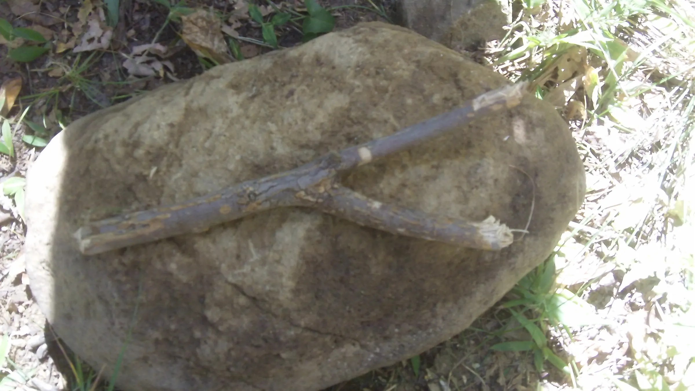 Paiute Deadfall Trap 6 Steps Instructables