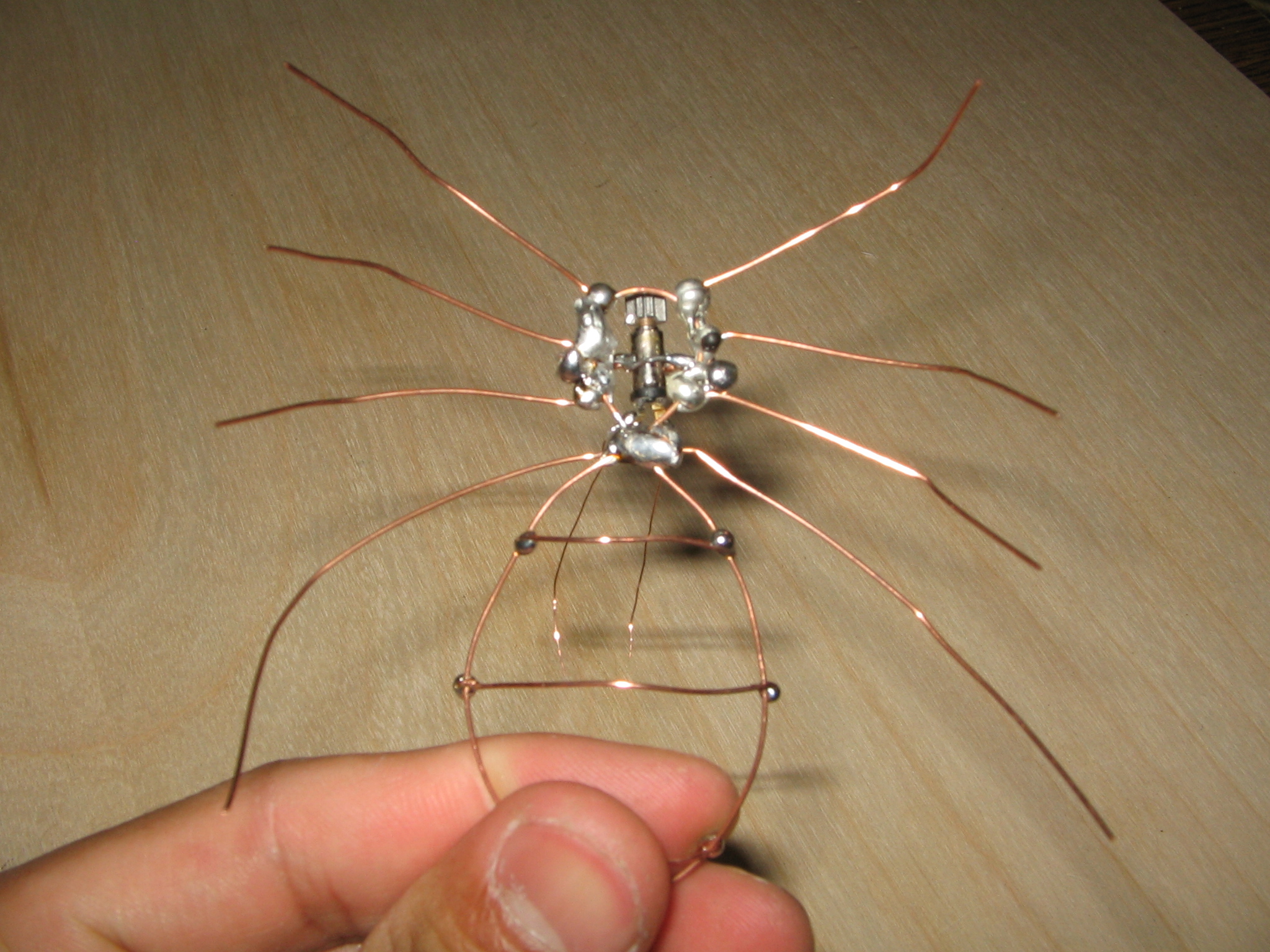 Cool Design R Spiders - Best Gradient Photos in 4K