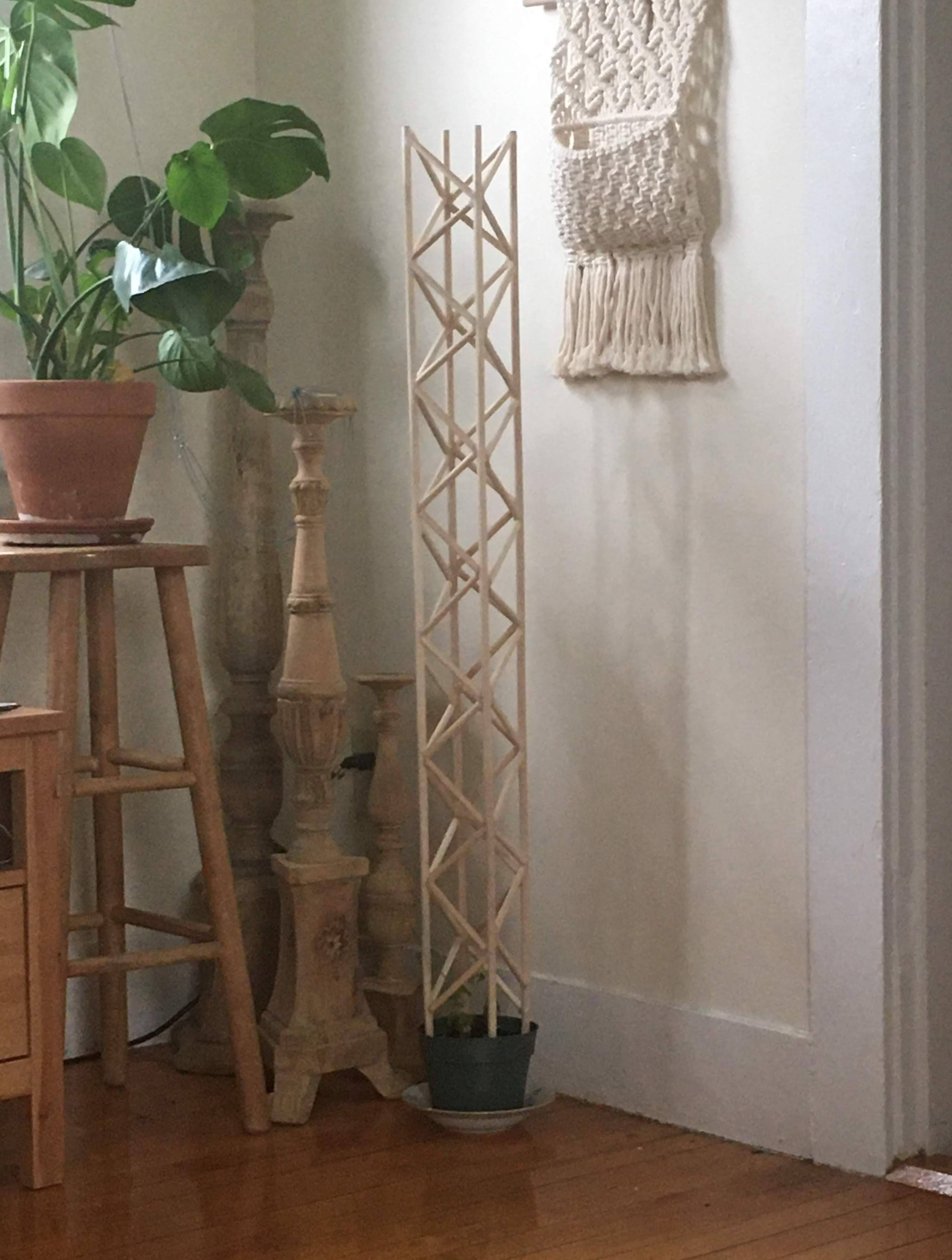 Hops Trellis - HD Mountain Wallpapers for Desktop