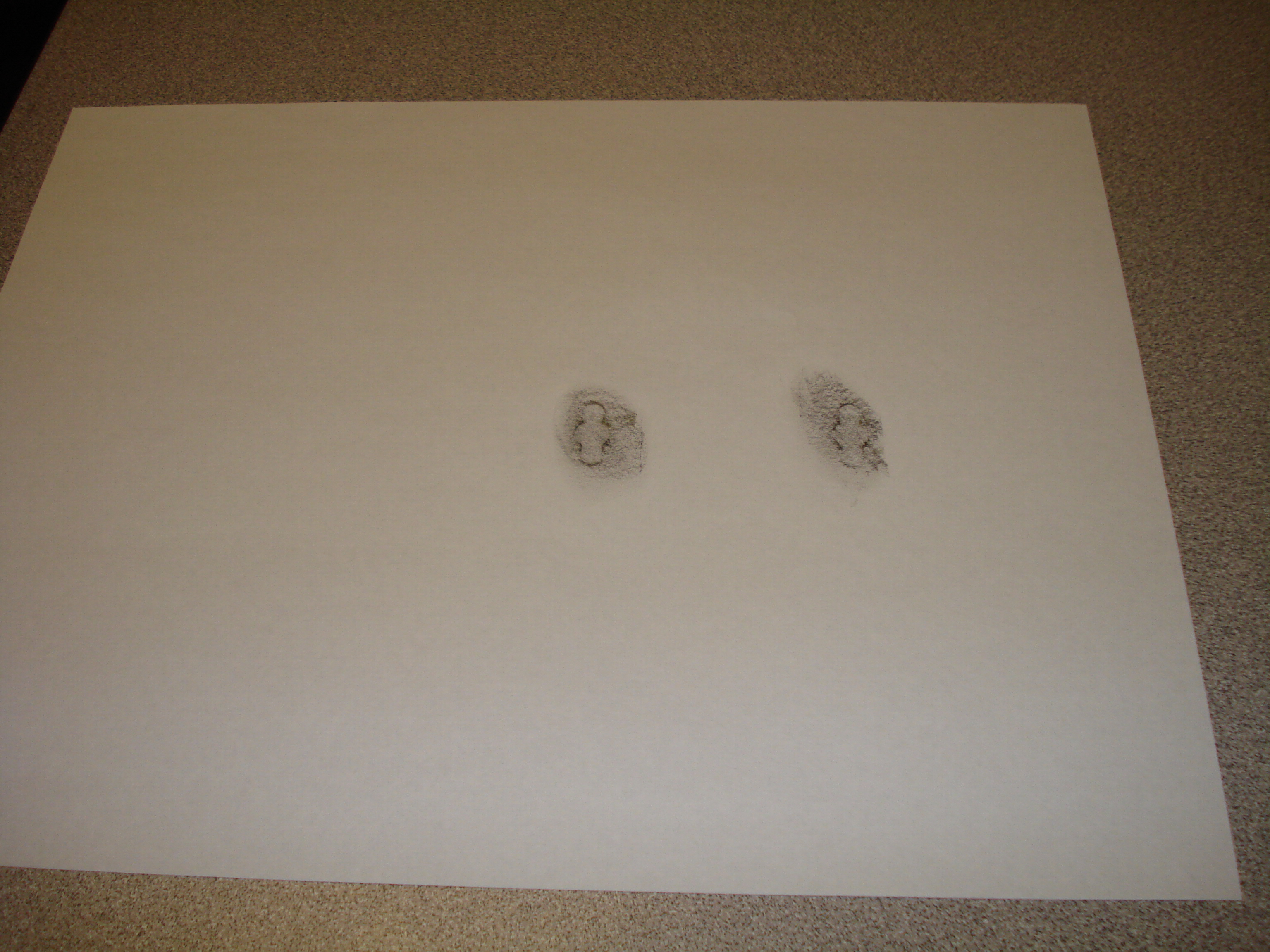 Computer Cable Management On The Cheap 5 Steps Instructables - Ocean Wallpapers - Professional Desktop Collection