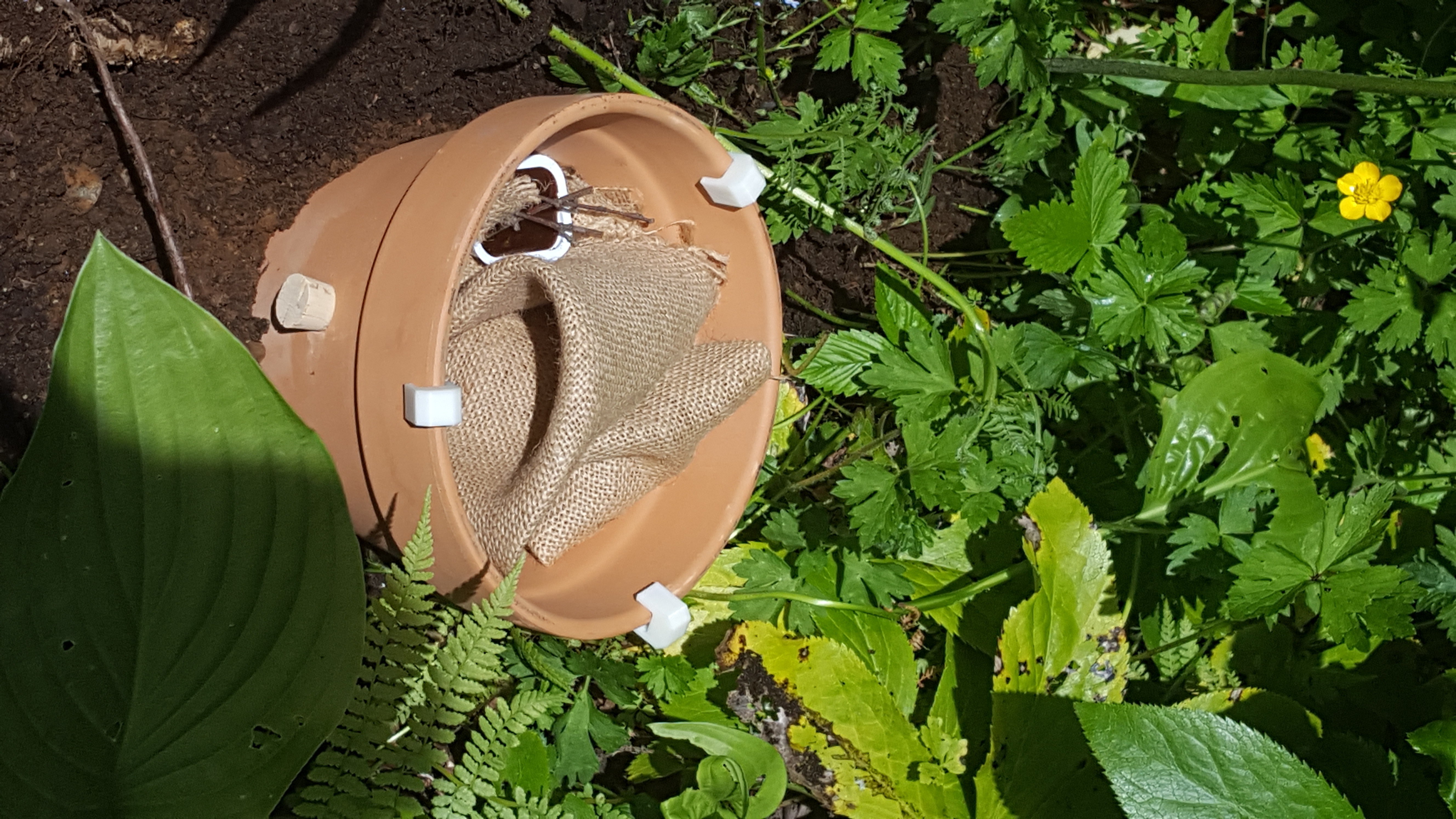 Bumble Bee Nest 4 Steps Instructables - Best Ocean Arts in Mobile